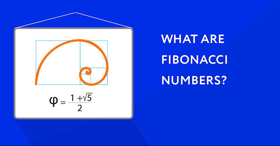 What are Fibonacci Numbers?