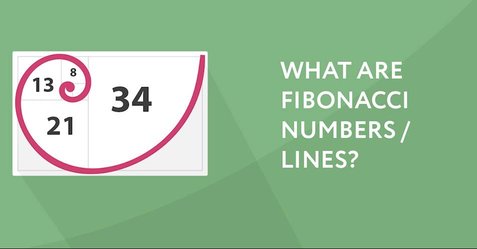 What are Fibonacci Numbers/Lines?