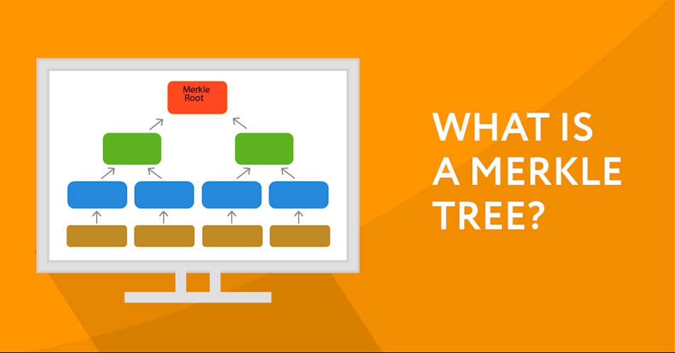 What is a Merkle Tree?
