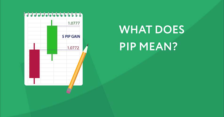 What does PIP mean?