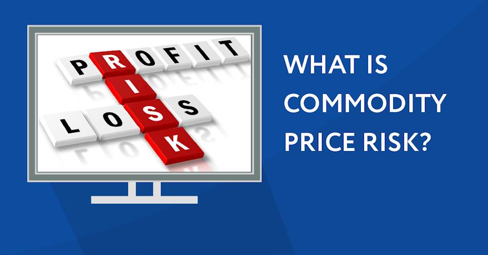 What is commodity pice risk?