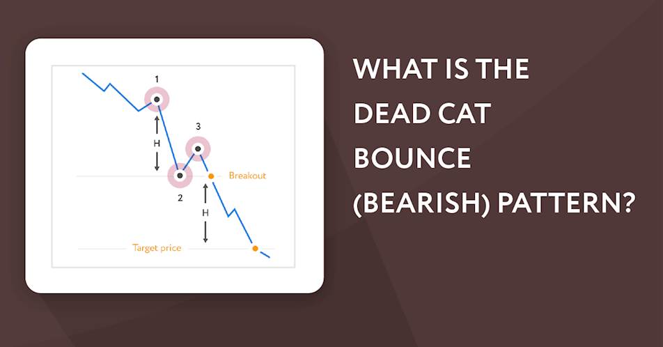 What is the Dead Cat Bounce (Bearish) Pattern?