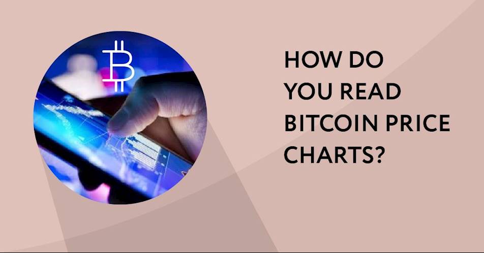How Do You Read Bitcoin Price Charts?