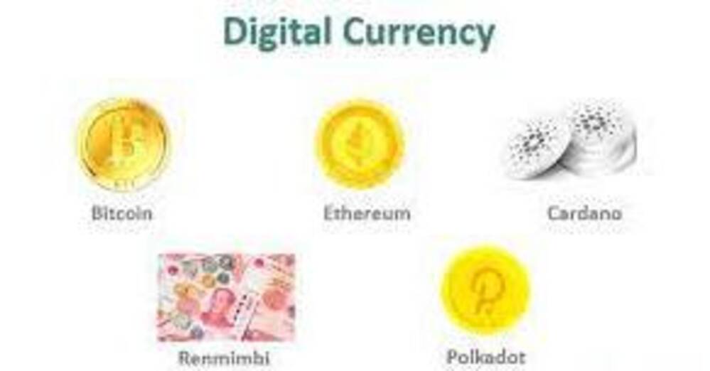 What are the various types of digital currencies?