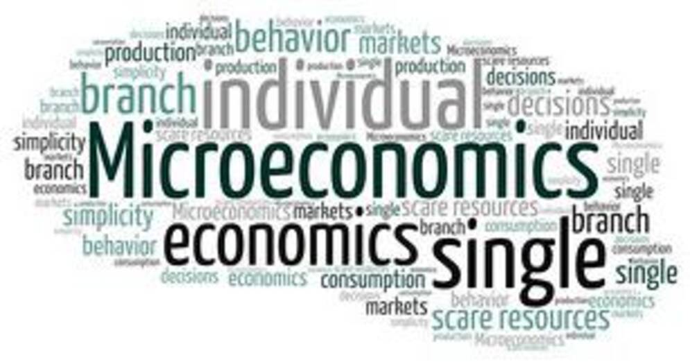 What Is Microeconomics?