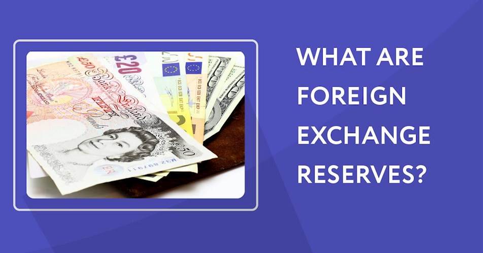 What are foreign exchange reserves?
