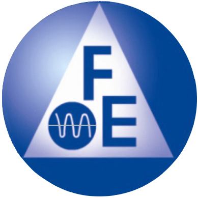 FEIM's Logo