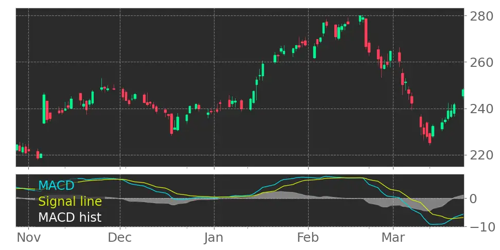 jpm stock book value